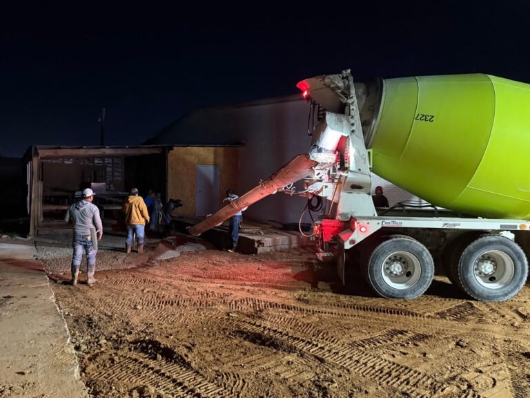 WhatsApp Image 2026-02-04 at 8.53